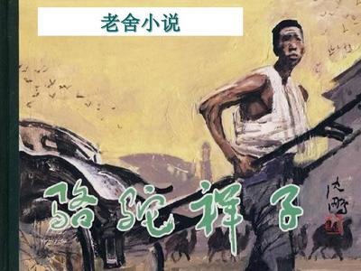 每日大赛在线观看